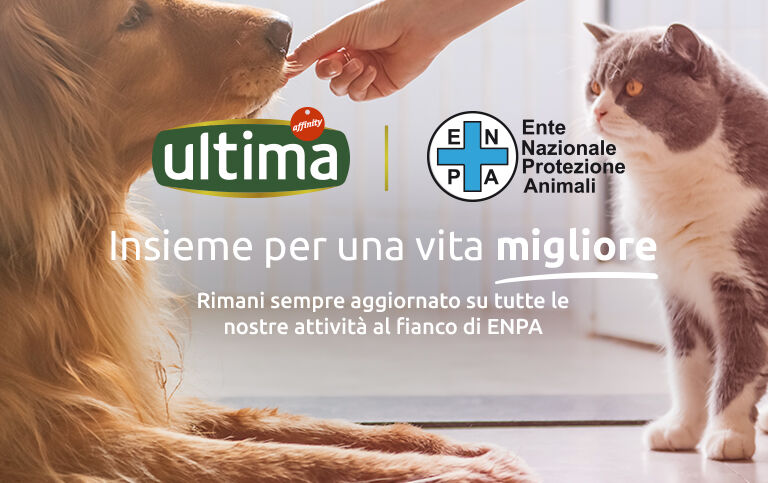 Header ENPA Repositorio web-xl-l-m_web-m.jpg